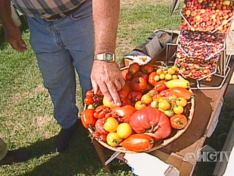 Garden Harvest