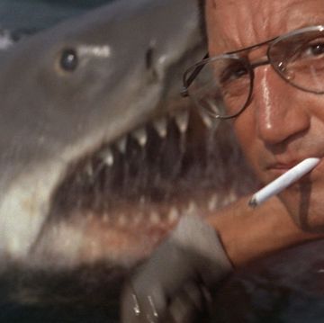 jaws, horror,