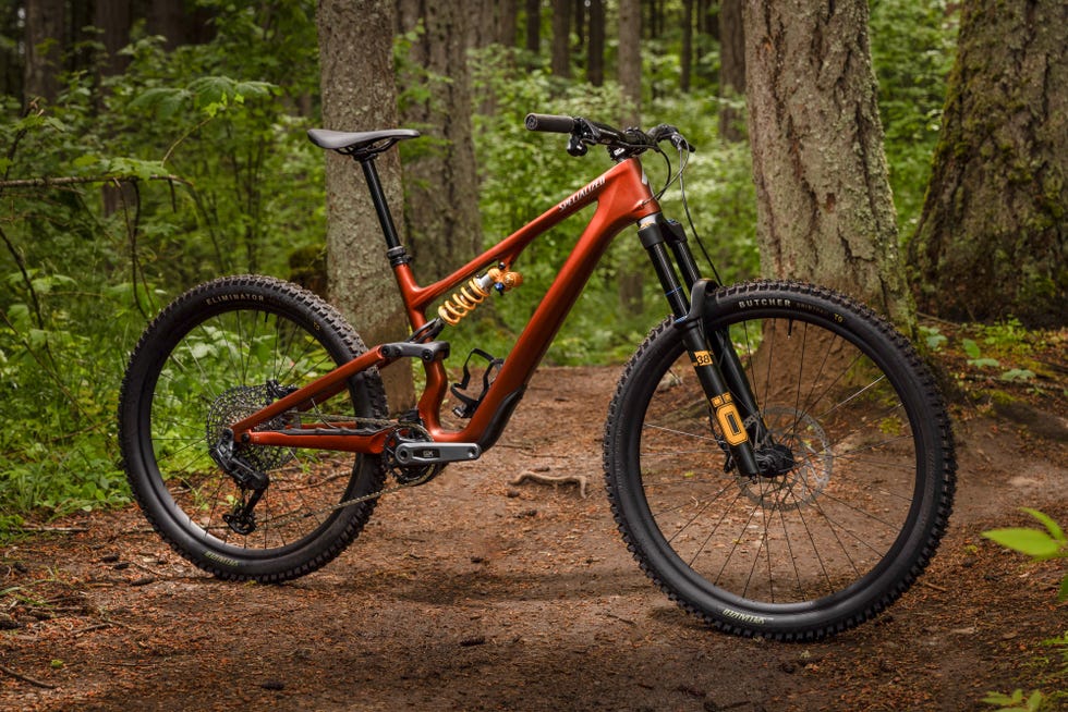 specialized stumpjumper 15