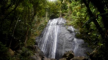 a waterfall in a forest