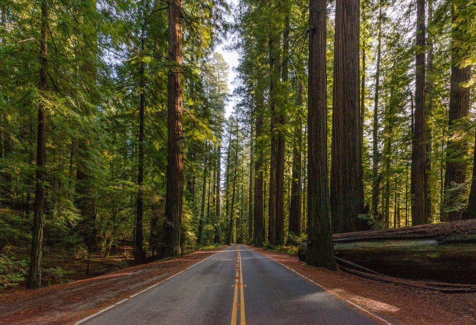 parks with bike trails