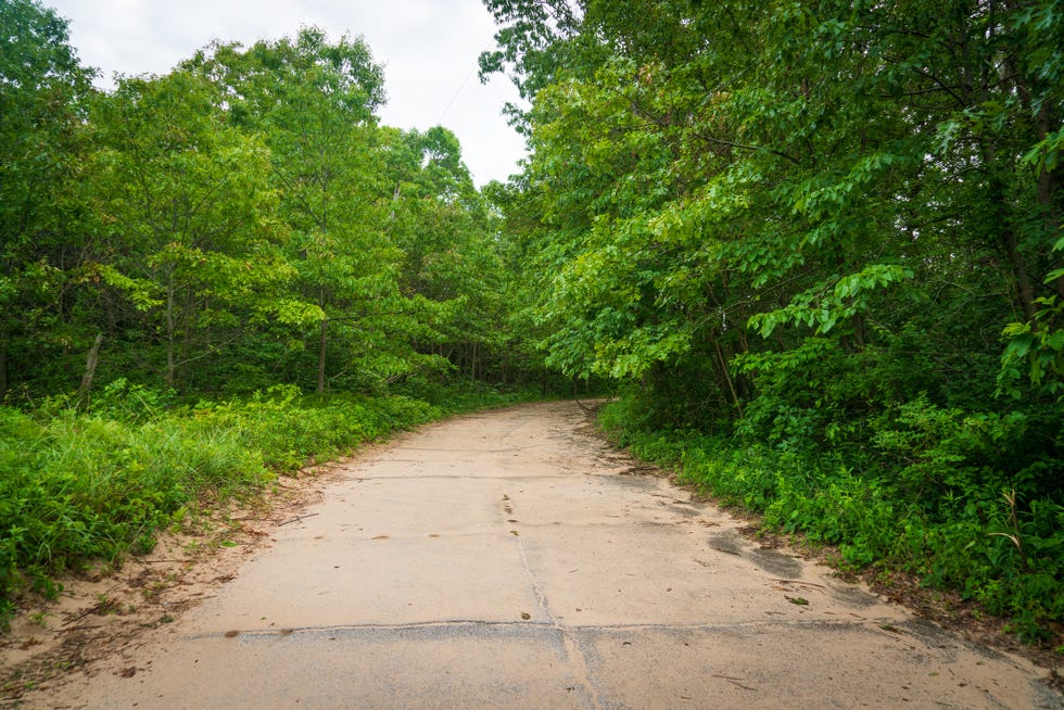 back road at indiana dunes national park