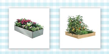 two raised beds in a stylized photo