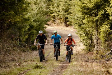 bikes in portland in the woods