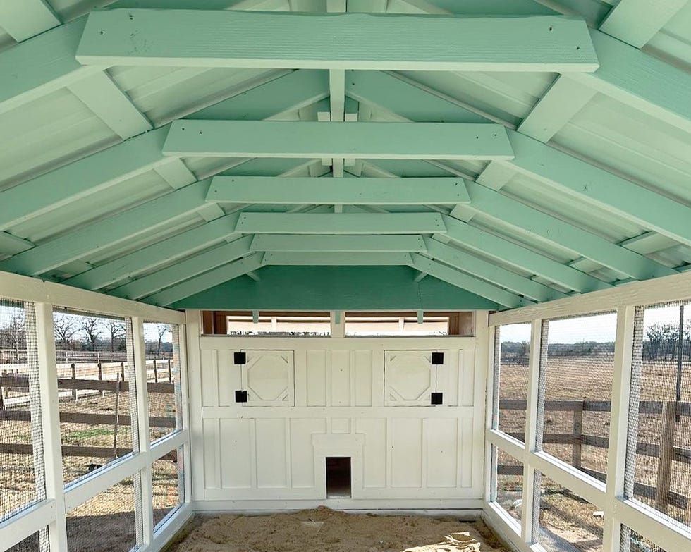 sky blue ceiling with exposed beams and rafters inside large chicken run attached to white coop with architectural trim