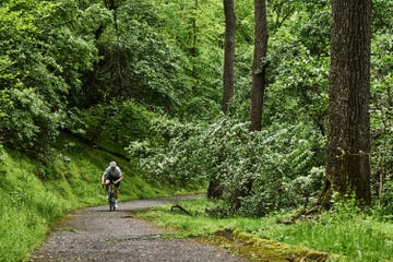 a person riding a bike on a climb through a wooded area