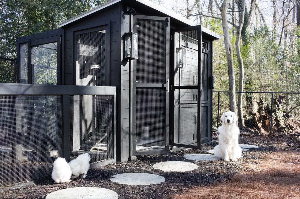 A Chic Black Chicken Coop