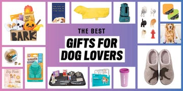 the best gifts for dog lovers