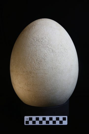 Egg, Sphere, Rock, 