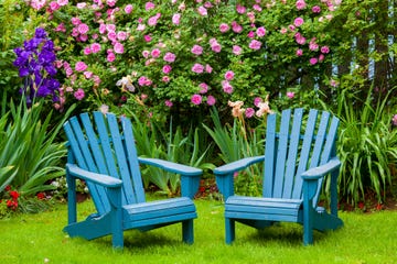 adirondack chairs in a garden with flowers