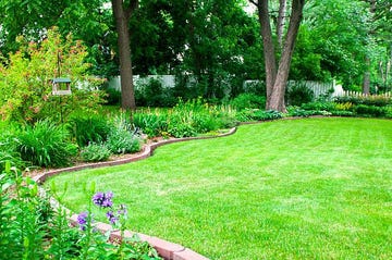 garden with brick edging