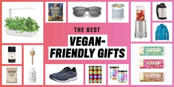 the best vegan friendly gifts sunglasses, candles, blender, chapstick, nut butter, running shoes, ilia makeup