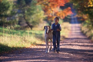 best large breed dogs