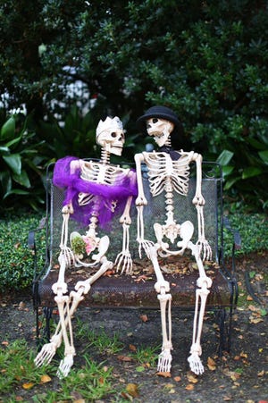 skeletons sitting on park bench