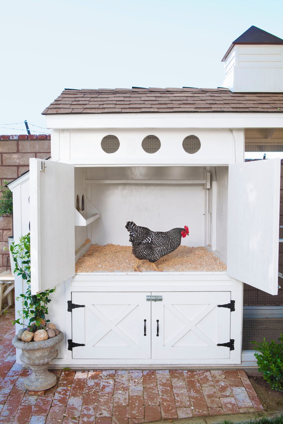 charming white chicken coop with minimalist white interior