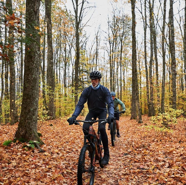 couple of mountain bikers