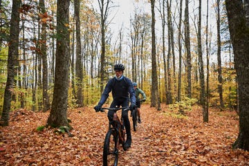 fall 2020 collection for bicycling kingdom trails vermont