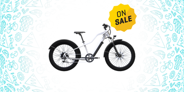 blix ultra fat tire electric bike