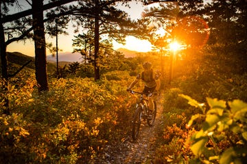 mountain bike trails