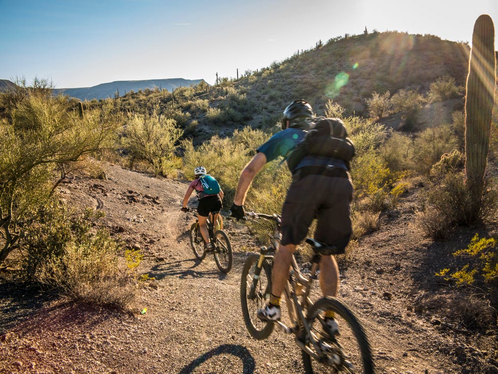 mountain biking for beginners