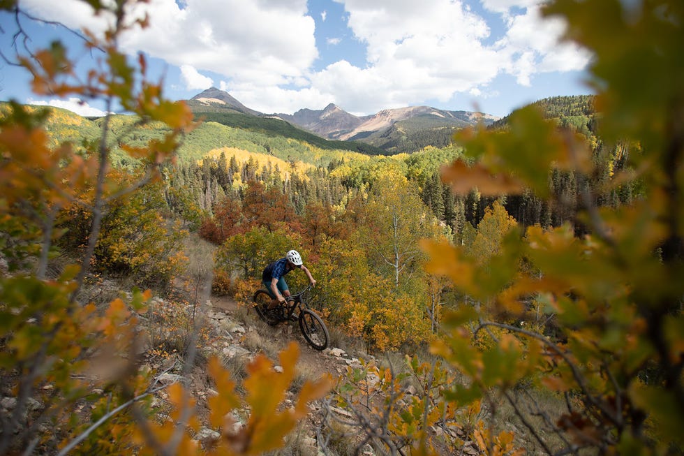 mountain biking for beginners best destinations