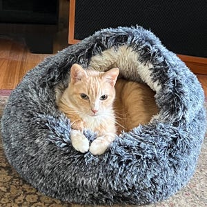 a cat lying in a cat bed