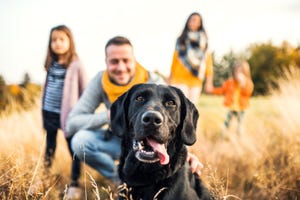 20 best dog breeds for families