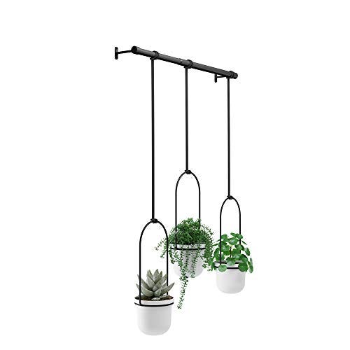 Triflora Hanging Planters