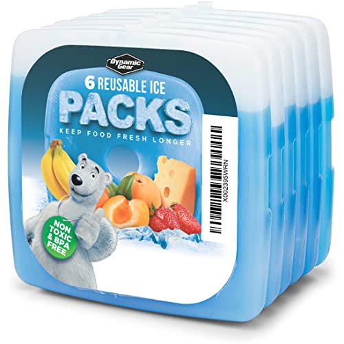 Dynamic Gear Reusable Ice Pack Blocks (6 Pack)