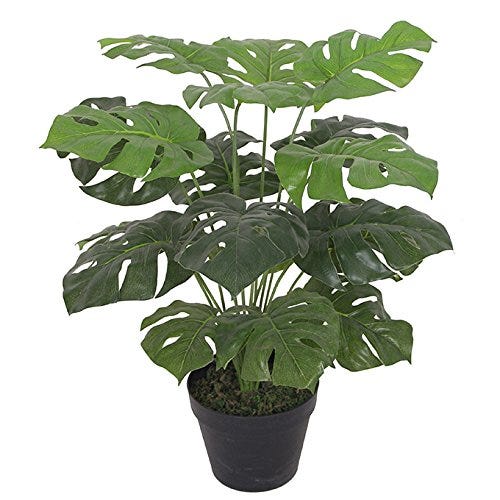 Artificial 60cm Monstera Plant  In Black Pot