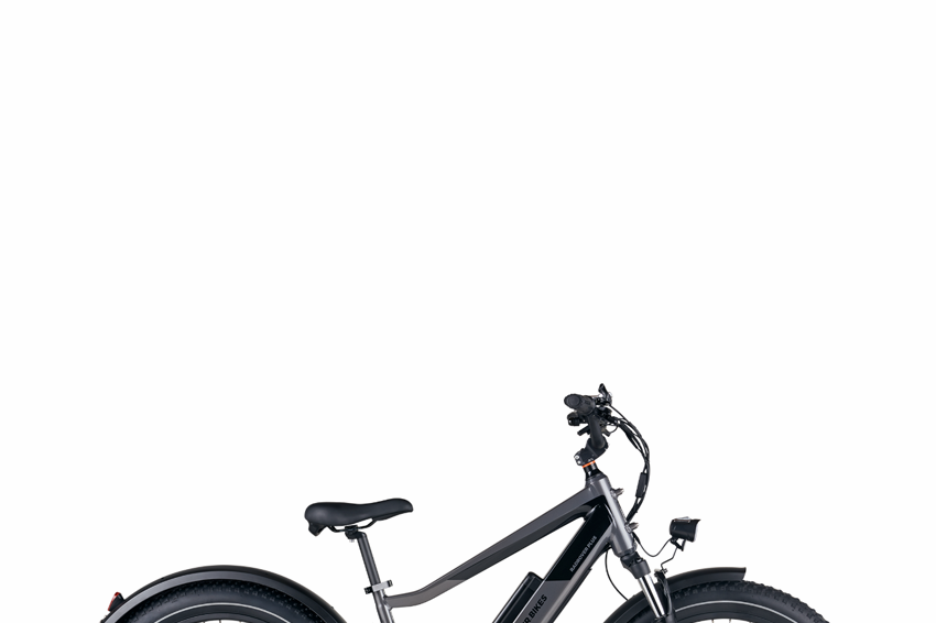 RadRover 6 Plus Electric Fat-Tire Bike
