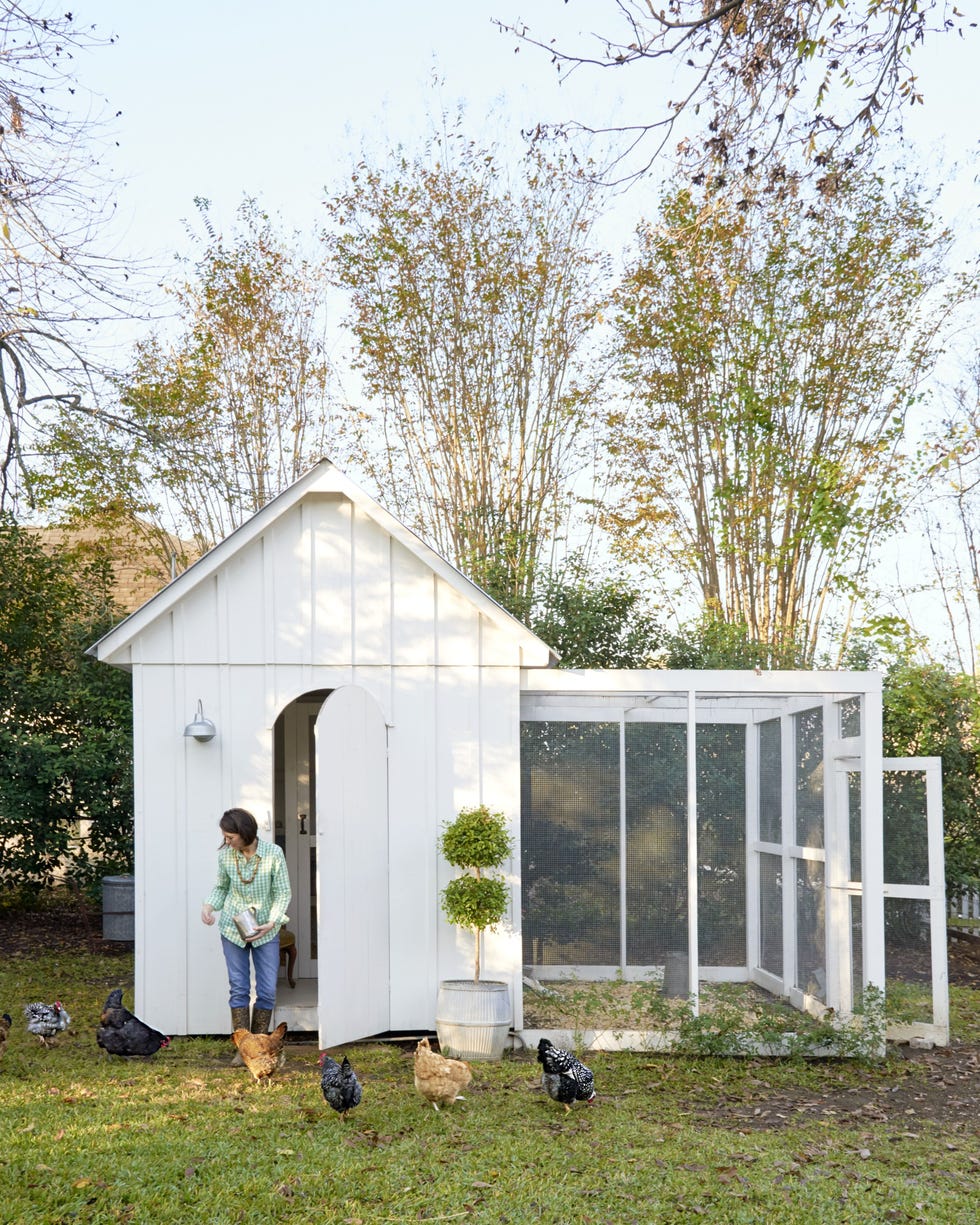 Pretty & Simple Chicken Coop Plans