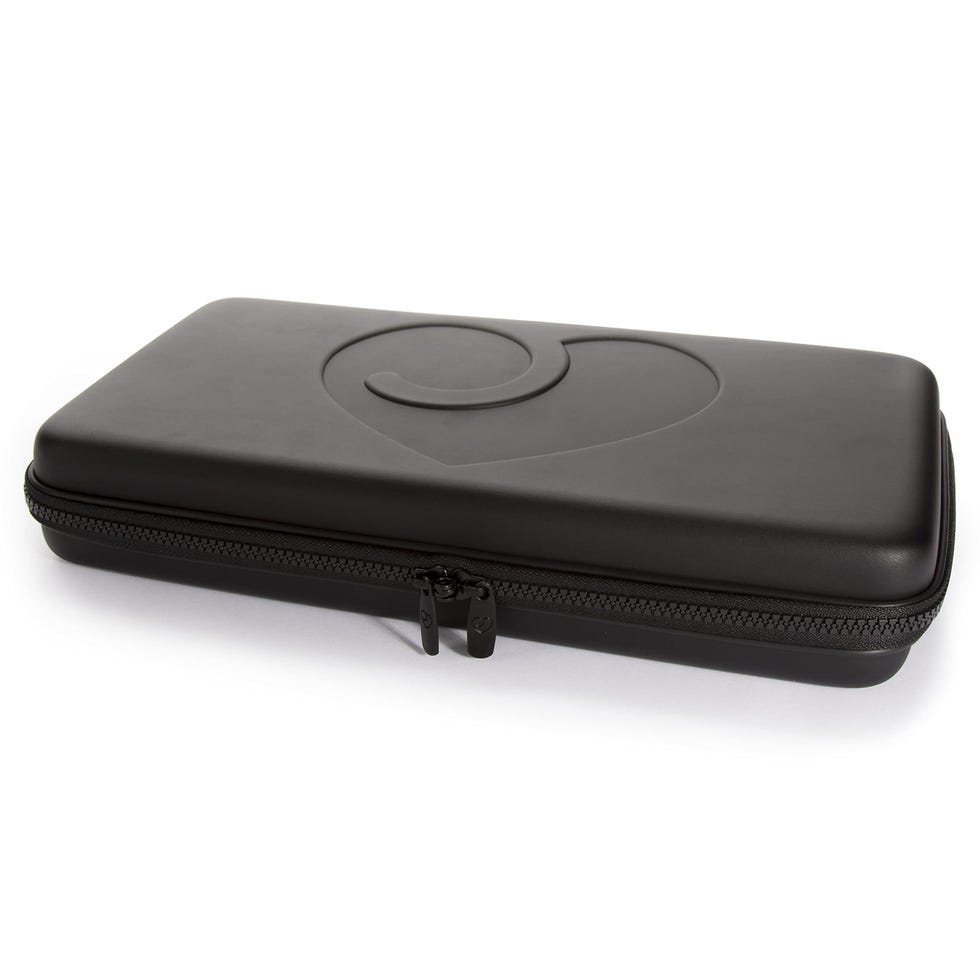 Lockable Sex Toy Case