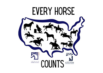 One Week Left for AHC Equine Economic Impact Survey