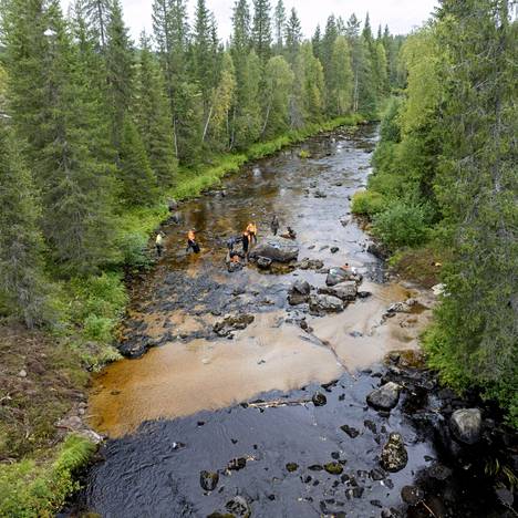 Raakkuja eli jokihelmisimpukoita siirrettiin turvaan ylävirran puhtaaseen veteen Suomussalmen Hukkajoella 23. elokuuta sen jälkeen, kun Stora Enson hakkuutyömaa ja joen yliajo oli sotkenut niiden elinympäristön.