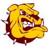 Stow-Munroe Falls Bulldogs