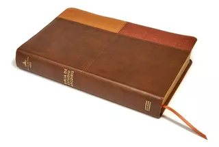 Biblia De Estudio Arcoiris Rvr60 Símil Piel Tres Tonos Café