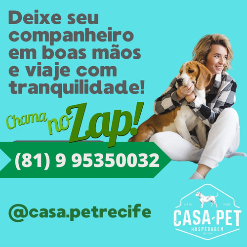 Hospedagem Para Cães Na Pet Casa Recife 