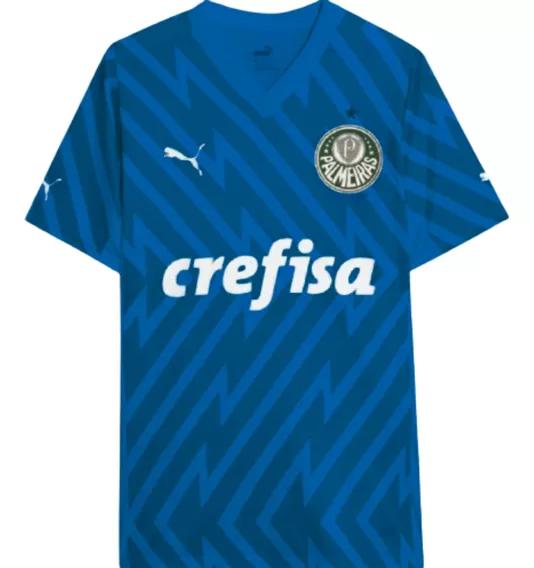 Camiseta Puma Palmeiras Torcedor Gk Home Jersey 24