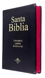 Santa Biblia Rvr 1960 Letra Gigante Vinil Negro