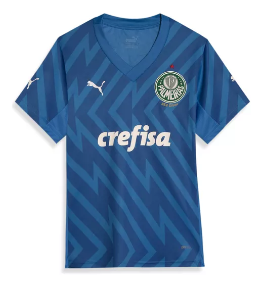 Camisa Palmeiras 1 Home Goleiro Torcedor Juvenil 24/25 Puma