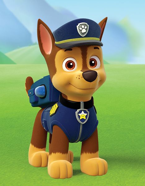 Paw patrol