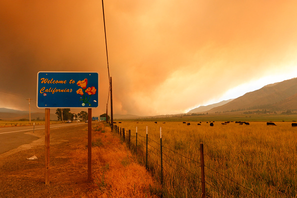 A smoky, orange sky looms over a field with a sign reading 