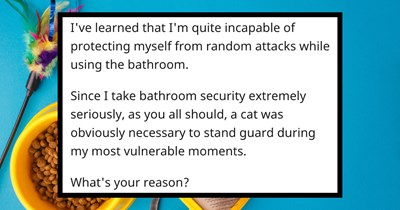 28 pictures of text | Thumbnail includes one picture of cat accessories and one picture of text including 'I've learned that I'm quite incapable of protecting myself from random attacks while using the bathroom. Since I take bathroom security extremely seriously, as you all should, a cat was obviously necessary to stand guard during my most vulnerable moments. What's your reason?'