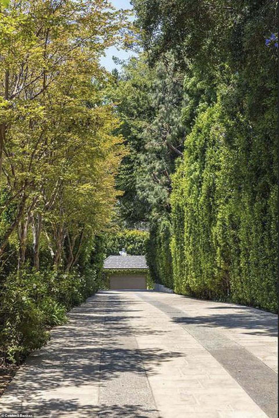 Stunning: There is even a beautiful tree-lined private driveway that leads to the French country estate