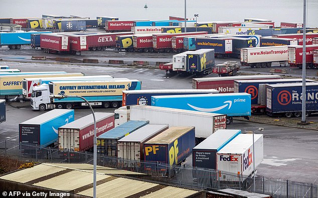 Despite a slowdown in global demand, Irish exports grew 6.25 percent last year, according to figures from the country's finance ministry. Pictured: Freight and HGV trucks, including Amazon-branded ones, are pictured on the quayside at the port of Rosslare Harbour in Rosslare, southeast Ireland in January 2021