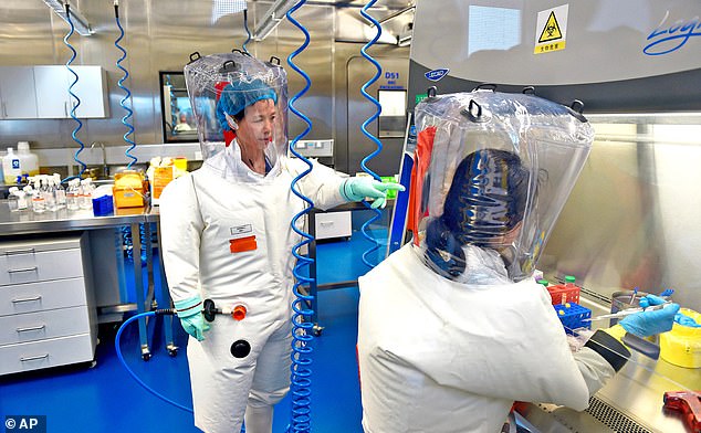 Western intelligence agencies had seemingly written off the 'remote' chance that the laboratory - where research into bat-derived coronaviruses is conducted - had played a role. Pictured: Researchers in a lab at the Wuhan Institute of Virology in Wuhan in central China's Hubei province, February 2017