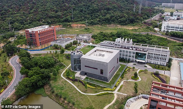 In an interview earlier this month President Joe Biden's chief medical adviser, Dr Anthony Fauci, director of the U.S. National Institute of Allergy and Infectious Diseases, agreed that a lab escape was 'a possibility'. He said he would also back a second investigation by the World Health Organisation (WHO). Pictured: The Wuhan Institute of Virology (WIV)