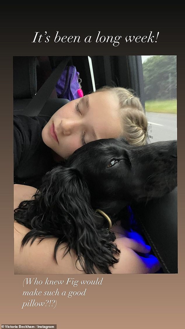 Family: Meanwhile on Friday, Victoria shared a sweet snap of daughter Harper with their dog