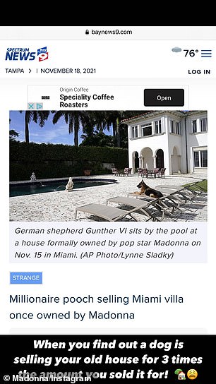 A group of handlers have reportedly grown Gunther VI's trust into $500M from the $58M German countess Karlotta Liebenstein bequeathed to her beloved dog Gunther III upon her 1992 death